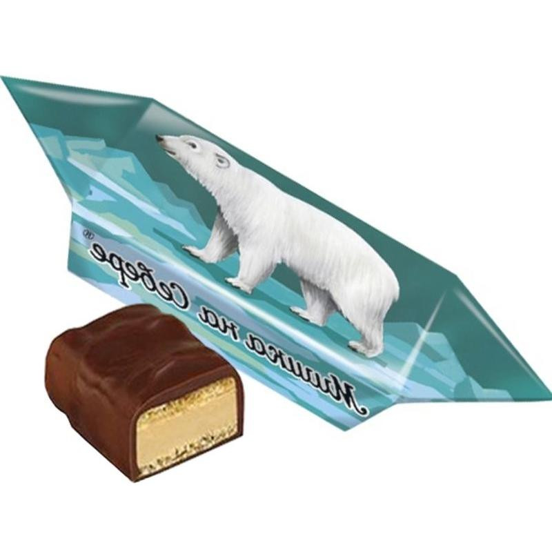 Мишка на Севере